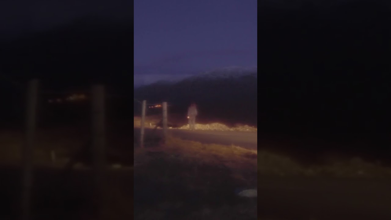 Maria Somerville - Garden