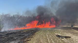 Disaster Strikes While Burning Pasture