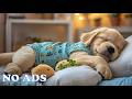 12 Hours Of Dog Music 🌿 Calming Sounds for Anti-Anxiety 🎶 Gentle Sounds for Deep Sleep | NO ADS