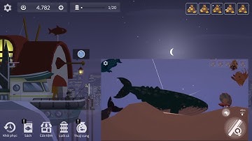 [Fishing life]Cách câu cá voi lưng gù cực đơn giản!!!