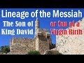 LINEAGE OF THE MESSIAH: Son of King David or Son of a Virgin Birth