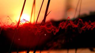 B.m.sharp - Empyrian To Behold