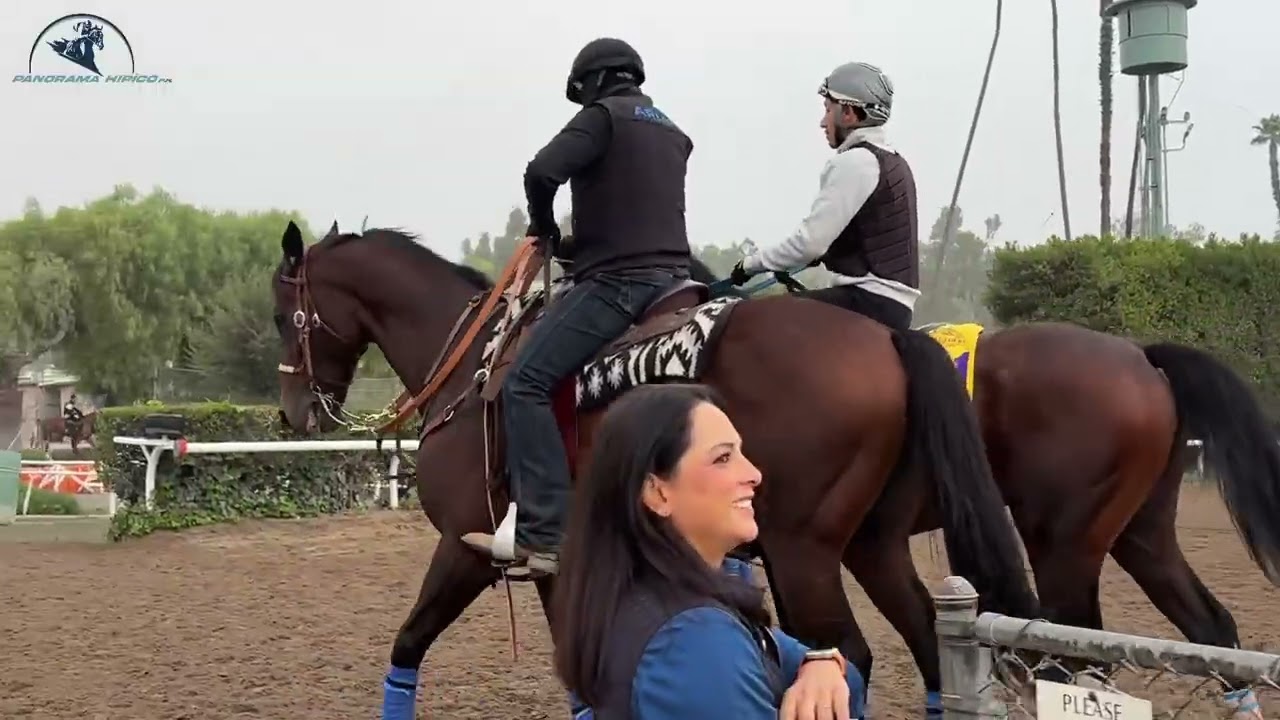 Baeza realiza ultimo apronte con Berrios para ir por el sueño de las BC Classic.