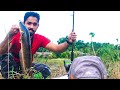 കിട്ടിയതിൽ "വലിയ” ചേറുമീൻ ഈ ചേട്ടന് ഇരിക്കട്ടെ | snakehead fishing Kerala and cooking
