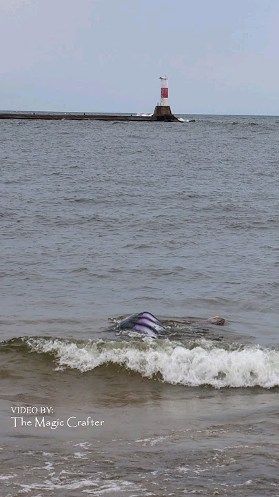 MERMAID IN THE WAVES (Manistee, MI)