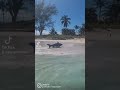 No more misery! #happy #beautiful #bahamas #island #beach #shark #nature #peace #surf #vacation