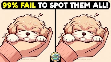 🐢🧩 Spot The Difference | Expert Challenge Edition 🧩🐢 | Quizonaut Turtle