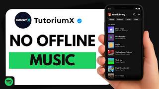 How to Fix Spotify Offline Mode Not Working | No Offline Music Fix