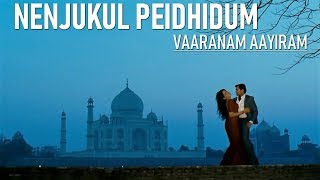 Nenjukul Peidhidum - Instrumental Cover by John M Joshua