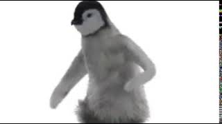 Tango Penguin Resimi