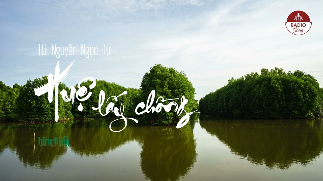 HUỆ LẤY CHỒNG | NGUYỄN NGỌC TƯ | RADIO SỐNG | TRUYỆN... - youtube