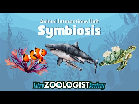 Symbiosis | Mutualism,