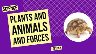 Plants and Animals and Forces | Science Lesson