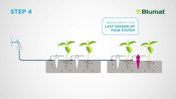 Blumat Tropf Installation Guide - Automatic Garden Drip Irrigation