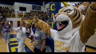 A Day In The Life Of A School Mascot