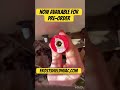 Protect from the blast! Easy color ID! Grip it! #hvac #refrigeration #hvaclife