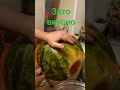 Ягодка
