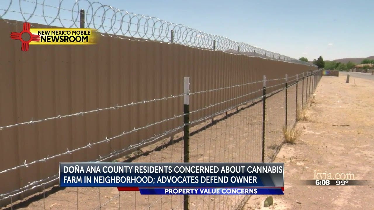 Doña Ana County residents frustrated by commercial cannabis grow in neighborhood