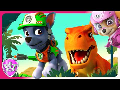 Skye & Rocky Save a Pterodactyl | Skye PAW Patrol | Spin Sparkle | Cartoons for Kids