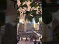 ابرز الهويات الحيدرية اكسبلور ما هي هويتك يا موالي لايك