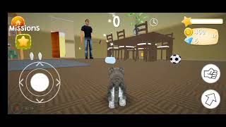 ..? | Cat Simulator- And Friends! | UaNAAAAAA #helpmemakethismakesense screenshot 3
