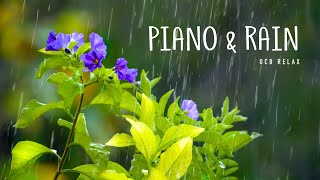 Rain Sounds &amp; Relaxing Music 24/7 - Piano Music, Sleep, Study, Yoga, Stress Relief, Meditation