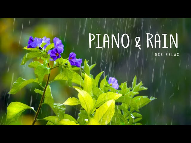 Rain Sounds & Relaxing Music 24/7 - Piano Music, Sleep, Study, Yoga, Stress Relief, Meditation class=