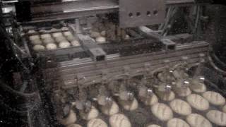 Robotic Gantry Bread Scoring For Specialty Bakery Roll Product