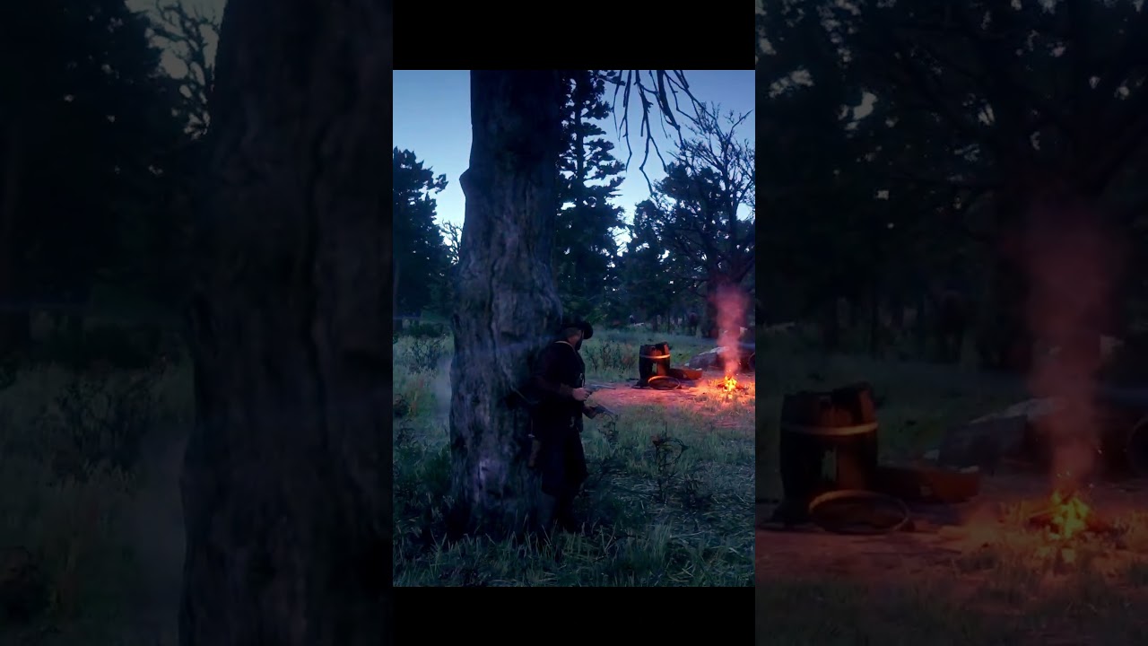 RDR2 feels like a movie sometimes 