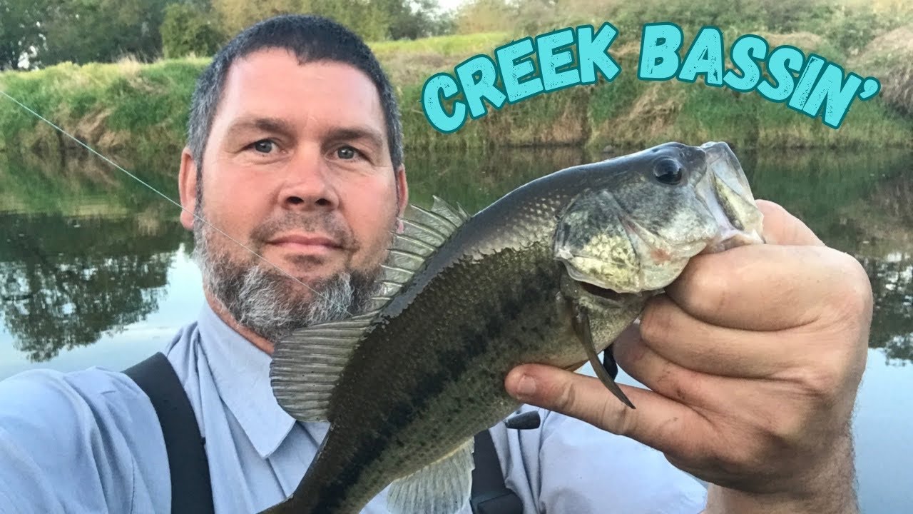 Creek Fishing For Largemouth Bass Slow mo Releases fishing bass Creek Fishing For Largemouth Bass Slow mo Releases fishing bass