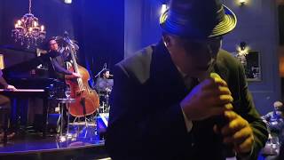 Fly me to the moon - Frank Sinatra na voz de Larissa Cavalcanti