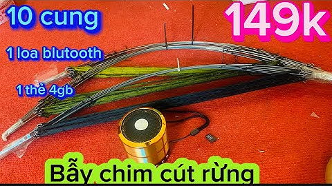 Bẫy cút rừng, combo bẫy chim cút giá rẻ nhất .  Nhận hàng kiểm  tra, chất lượng cao