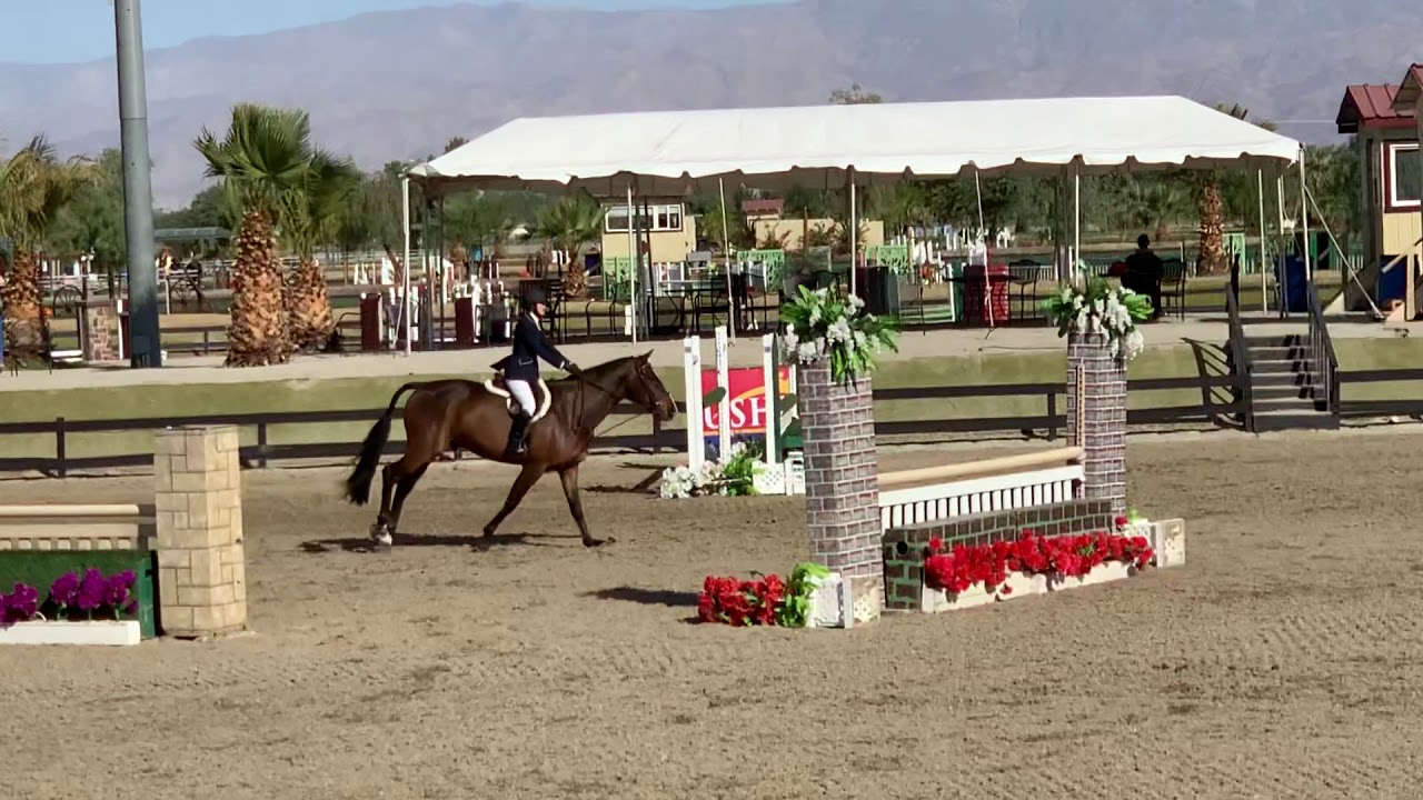 Naomi Rubin + Bunistar, 1st Place, Handy Round, Sunshine II 2018