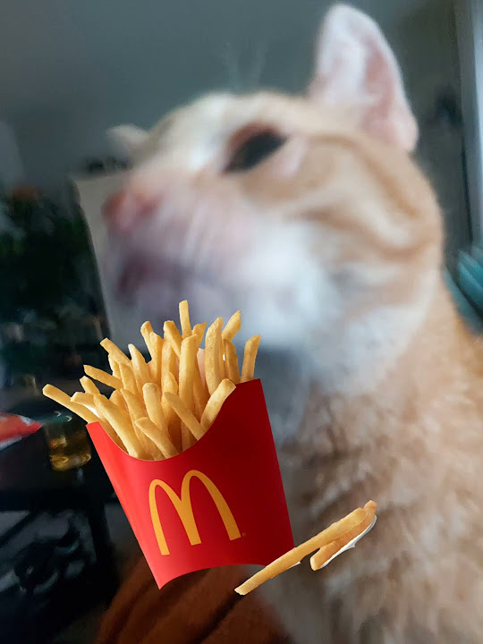 If you want a burger eat a burger youtube