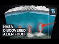 NASA just discovered the first food source for potential aliens