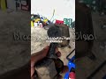 اعراض تلف كرسي الجير اهتزازات اصوات اسفل سياره لكزس ال اس400 اعراض تلف كرسي الجير اهتزازات اصوات اسفل سياره لكزس ال اس400