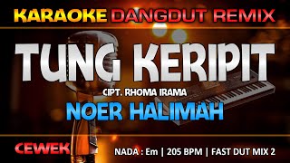 TUNG KERIPIT - Noer Halimah || RoNz Karaoke Dangdut Remix