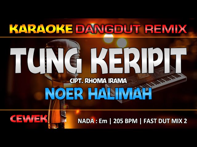 TUNG KERIPIT - Noer Halimah || RoNz Karaoke Dangdut Remix class=