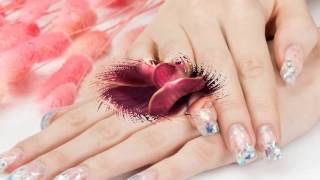 DaVi Nails 1800 N 16th St Council Bluffs Iowa 51501 1458