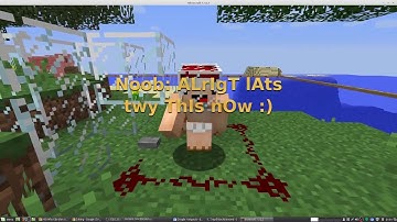 If A Noob Used A Command Block