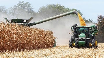 John Deere S780 Combines and 16-Row Corn Headers Harvesting Corn | BIG Harvest
