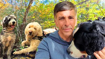 Dogs Don't Cheat, And They Won't Leave You