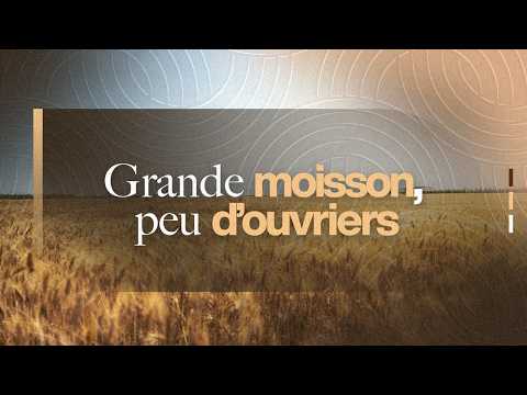 Grande Moisson Peu D Ouvriers Pastor Paul Kamali 12 2 2026 
