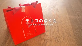 チョコのゆくえ 〜 The end of line of sight 〜