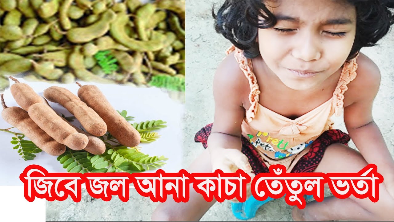Tamarind Fruits Recipe Awesome Mix Tamarind With Chili Recipe Village Food Factory Tetul Borta Chili Chili Tamarind Fruits Recipe Awesome Mix Tamarind With Chili Recipe Village Food Factory Tetul Borta Chili Chili