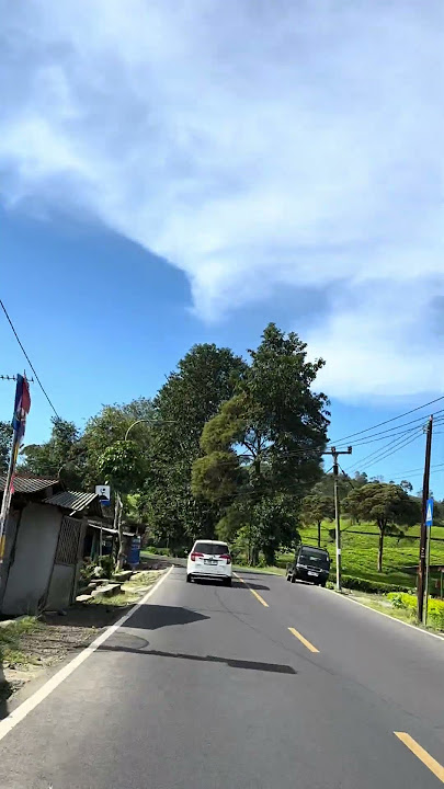 Siti Patengang, Tea Plantation