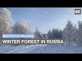 [4k] Meditative Morning Walk through the winter forest in Russia