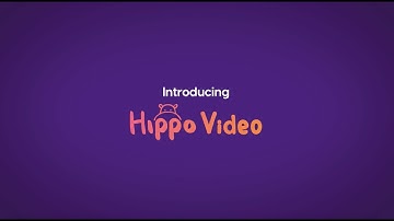 What is Hippo Video - An Overview