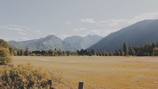 Summer by Seattle