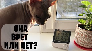 Метеостанция из Fix Price - Проверка точности